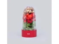 Wonderchef Nutri-Blend B Long Cup Jar With Red Base Set (Plastic) 500 ml Rs.349 @ Amazon