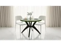 [Apply 5% Coupon] Nilkamal Meridian Kross Leg Plastic Dining Table |3-Year Warranty| for Dining Room | Ideal for Indoor & Outdoor | Perfect, Office, Hotel, Café and Restaurants | 1 Dining Table (Green & Black)