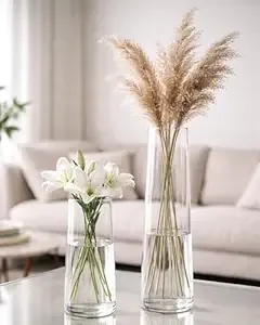 Homesake® Glass Vase for Plants Flowers (Transparent, 29 cm X 8 cm) - Living Room Glass Vase Pot for Water Plants Home Décor Dining Table Decoration Bedroom Hall House Warming Gift, Stem (Set of Vase) Rs.343 @ Amazon