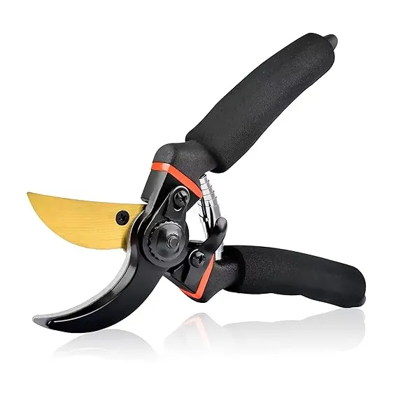 Robustt Titanium Gardening Scissors -Pack of 1 | Plants Scissor | Garden Shear Tree Branch Pruner | Gardening Cutter Tool | Plant Cutter for Home Garden | Wood Branch Trimmer | Grass Cutting Accessory Rs.283 @ Amazon