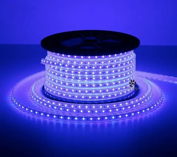 Mufasa LED Strip Light Indoor Outdoor Waterproof SMD Roll Home Decoration Lights, Diwali Christmas Navratri Birthday Party (Adhesive Less Back) (Plug N Play) (20 Meter, Blue) Rs.835 @ Amazon