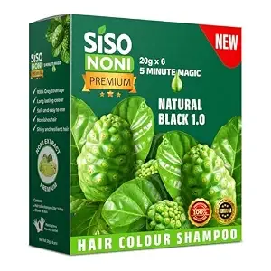 [Apply 4% Coupon] Siso Premium Noni Black Hair Colour Shampoo 20G (Pack of 6) | Ammonia Free, Natural Black Permanent Hair Dye for Men & Women | Noni Fruit Enriched, 5 Minutes Hair Colour