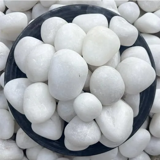 (Min Buy 2) Foodie Puppies Polished White Pebbles Glossy Stones - (Large, 1Kg) (3cm - 5cm) | for Home Decorative, Vase Fillers, Aquarium Fish Tank, Garden River Rock Unplanted Substrate