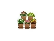 Flower Pots with Tray Set of 5, 6.1 Inch | Decorative Plastic Planters for Indoor & Outdoor Plants | Wavy Texture Design | Durable Lightweight Pots for Home, Balcony & Garden