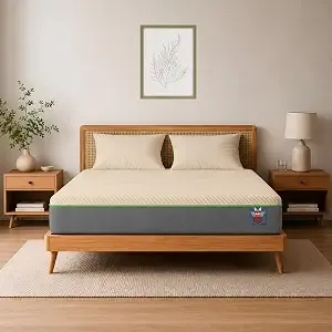 [HDFC CC] DREAMSHIELD™ Natural Latex Hybrid Mattress (15 Years Warranty) |Luxury Hotel Comfort, Naturally Cool Design | Motion Isolation | Medium Plush Comfort Single Size Bed Mattress (72x36x4)